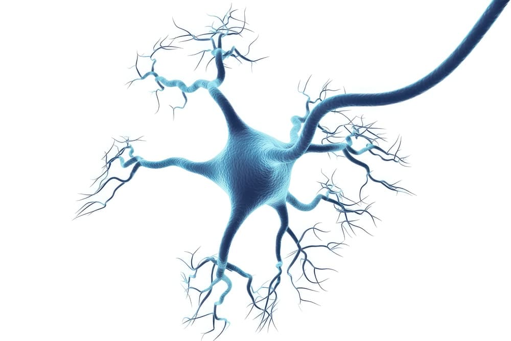 Background decoration